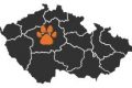 Útulky pro psy v Praze